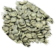 Borbón