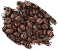 Caturra